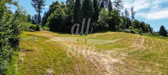  Land in Moosburg, Austria No. 151485 9