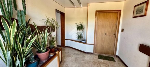 5 غرف نوم شقة في Palermo, Italy رقم 327270 31