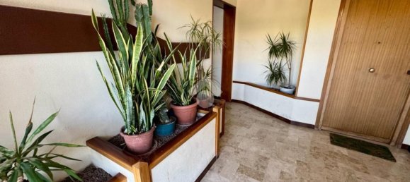 5 غرف نوم شقة في Palermo, Italy رقم 327270 30