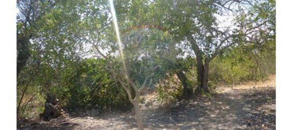 Terrain à Albufeira, Portugal 127770m² No. 43073 7