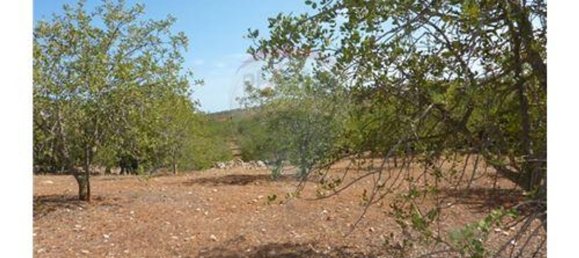 Terrain à Albufeira, Portugal 127770m² No. 43073 10