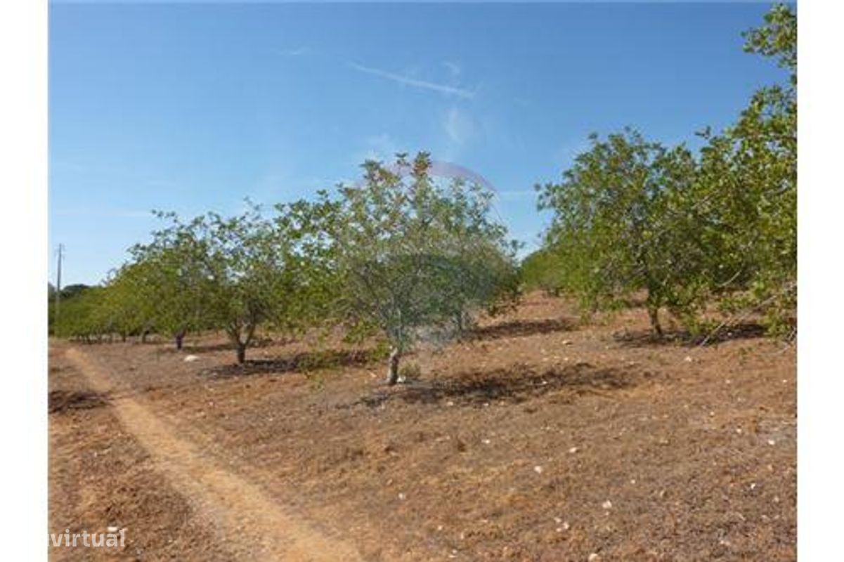 Terrain à Albufeira, Portugal 127770m² No. 43073