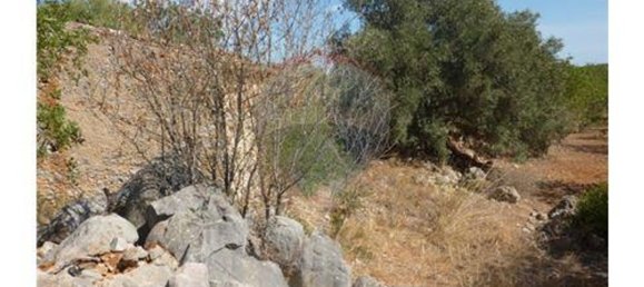 Terrain à Albufeira, Portugal 127770m² No. 43073 9