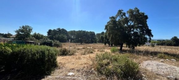 4 bedrooms House in Setubal, Portugal No. 46079 14