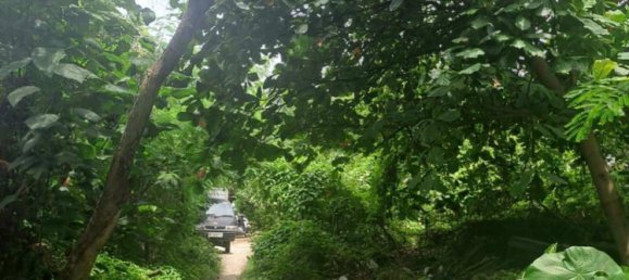 Земельный участок 3248м² в Canggu, Индонезия № 4538 6