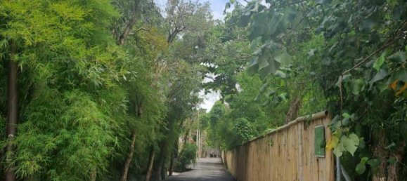 Земельный участок 3248м² в Canggu, Индонезия № 4538 8