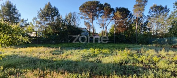  Land in Viseu, Portugal No. 48812 7