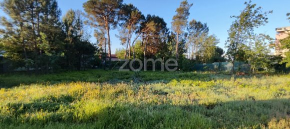  Land in Viseu, Portugal No. 48812 15