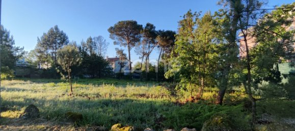  Land in Viseu, Portugal No. 48812 11