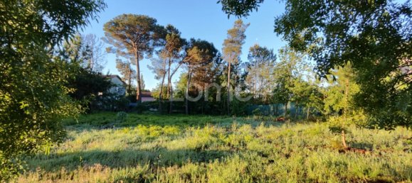  Land in Viseu, Portugal No. 48812 14