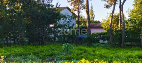  Land in Viseu, Portugal No. 48812 13