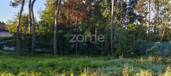  Land in Viseu, Portugal No. 48812 4