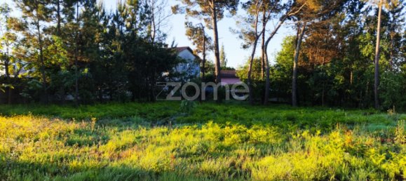  Land in Viseu, Portugal No. 48812 12