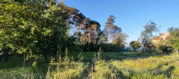  Land in Viseu, Portugal No. 48812 16