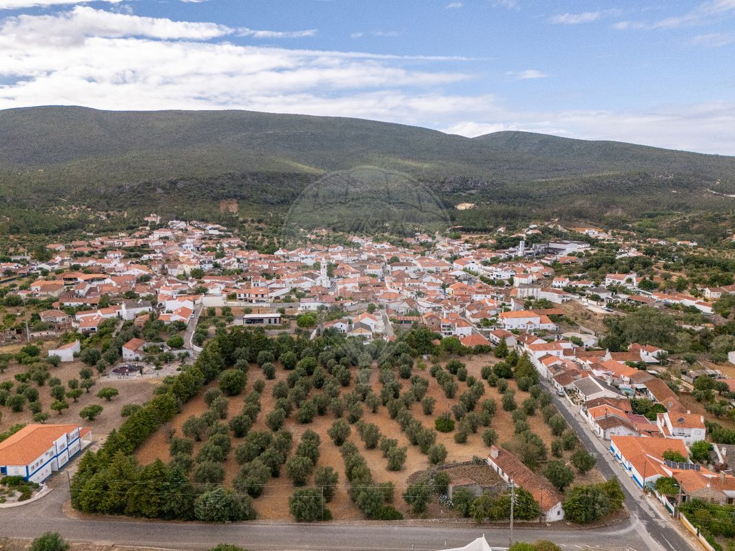 4 bedrooms House in Torres Novas, Portugal No. 30148