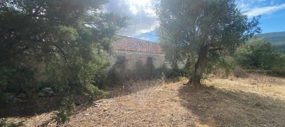 4 bedrooms House in Torres Novas, Portugal No. 30148 23