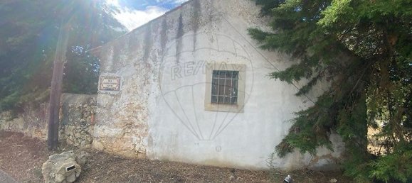 4 bedrooms House in Torres Novas, Portugal No. 30148 25