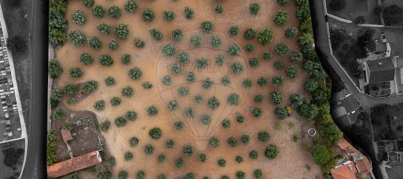 4 bedrooms House in Torres Novas, Portugal No. 30148 6