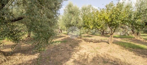 2 Schlafzimmer Haus in Palombara Sabina, Italy, Nr. 320908 22