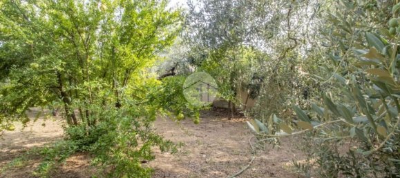 2 Schlafzimmer Haus in Palombara Sabina, Italy, Nr. 320908 21