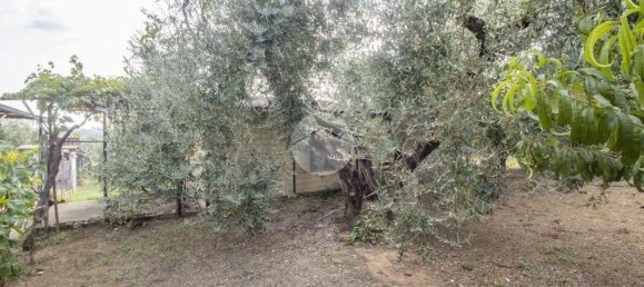 2 Schlafzimmer Haus in Palombara Sabina, Italy, Nr. 320908 2