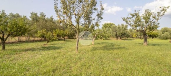 2 Schlafzimmer Haus in Palombara Sabina, Italy, Nr. 320908 20