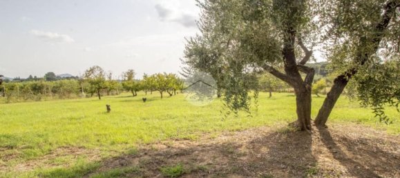 2 Schlafzimmer Haus in Palombara Sabina, Italy, Nr. 320908 7