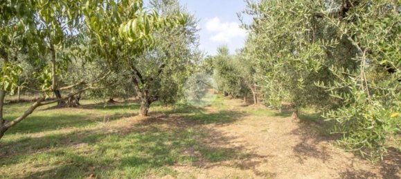 2 Schlafzimmer Haus in Palombara Sabina, Italy, Nr. 320908 6