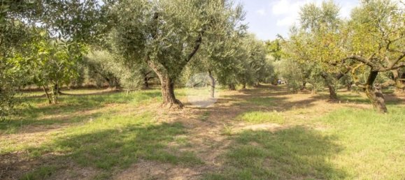 2 Schlafzimmer Haus in Palombara Sabina, Italy, Nr. 320908 23