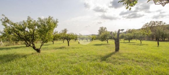 2 Schlafzimmer Haus in Palombara Sabina, Italy, Nr. 320908 25