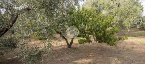 2 Schlafzimmer Haus in Palombara Sabina, Italy, Nr. 320908 13