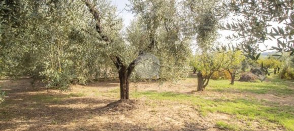 2 Schlafzimmer Haus in Palombara Sabina, Italy, Nr. 320908 19