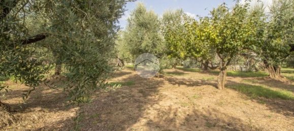 2 Schlafzimmer Haus in Palombara Sabina, Italy, Nr. 320908 14