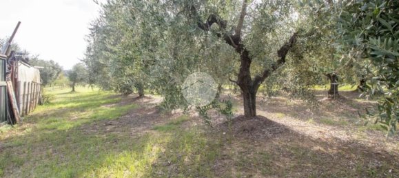 2 Schlafzimmer Haus in Palombara Sabina, Italy, Nr. 320908 18