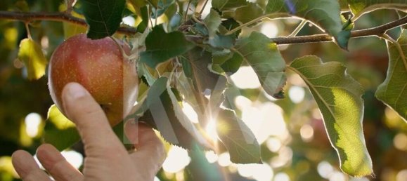 4 غرف نوم منزل في Gondomar, Portugal رقم 59301 24