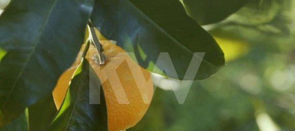 4 غرف نوم منزل في Gondomar, Portugal رقم 59301 25