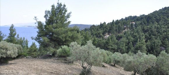 12150m² Hotel in Chalkidiki, Greece No. 7832 9