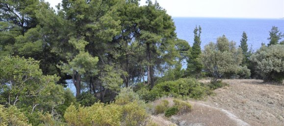 12150m² Hotel for sale in Chalkidiki, Central Macedonia, Macedonia and Thrace, Greece № 7832 10