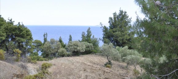 12150m² Hotel for sale in Chalkidiki, Central Macedonia, Macedonia and Thrace, Greece № 7832 8