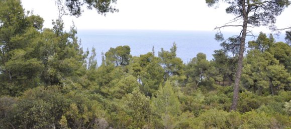 12150m² Hotel for sale in Chalkidiki, Central Macedonia, Macedonia and Thrace, Greece № 7832 7