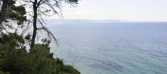 12150m² Hotel for sale in Chalkidiki, Central Macedonia, Macedonia and Thrace, Greece № 7832 4