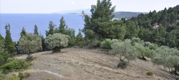 12150m² Hotel in Chalkidiki, Greece No. 7832 14