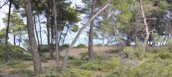 12150m² Hotel for sale in Chalkidiki, Central Macedonia, Macedonia and Thrace, Greece № 7832 11
