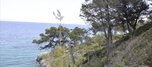 12150m² Hotel for sale in Chalkidiki, Central Macedonia, Macedonia and Thrace, Greece № 7832 3