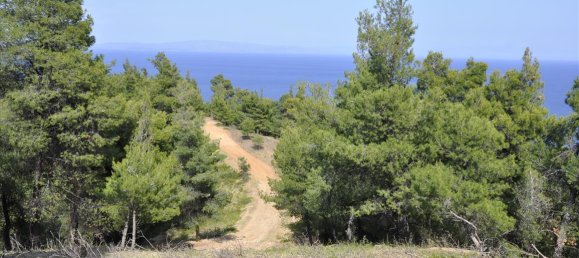 12150m² Hotel for sale in Chalkidiki, Central Macedonia, Macedonia and Thrace, Greece № 7832 16