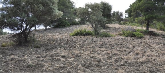 12150m² Hotel in Chalkidiki, Greece No. 7832 13