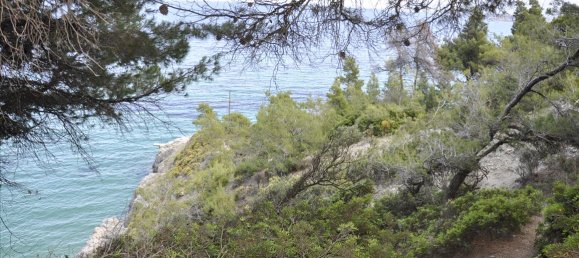 12150m² Hotel for sale in Chalkidiki, Central Macedonia, Macedonia and Thrace, Greece № 7832 2