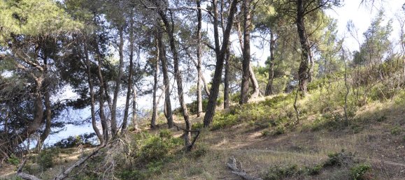 12150m² Hotel for sale in Chalkidiki, Central Macedonia, Macedonia and Thrace, Greece № 7832 12