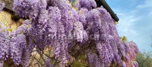 Villa de 9 dormitorios en Lazise, Italy No. 228472 7