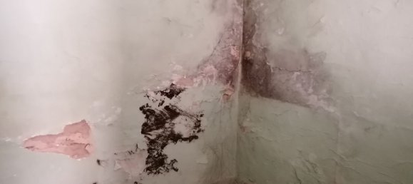 2 chambres Maison à Silvalde, Portugal No. 189913 13